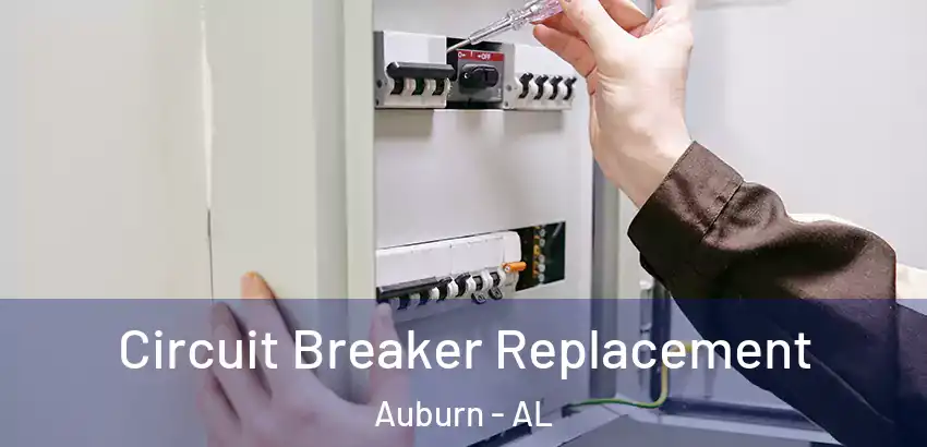Circuit Breaker Replacement Auburn - AL