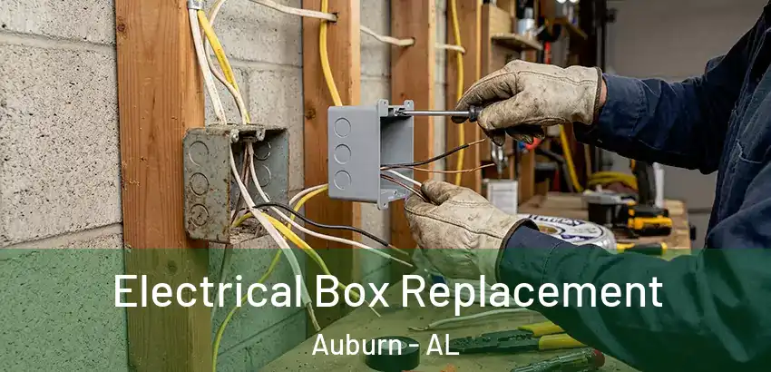 Electrical Box Replacement Auburn - AL